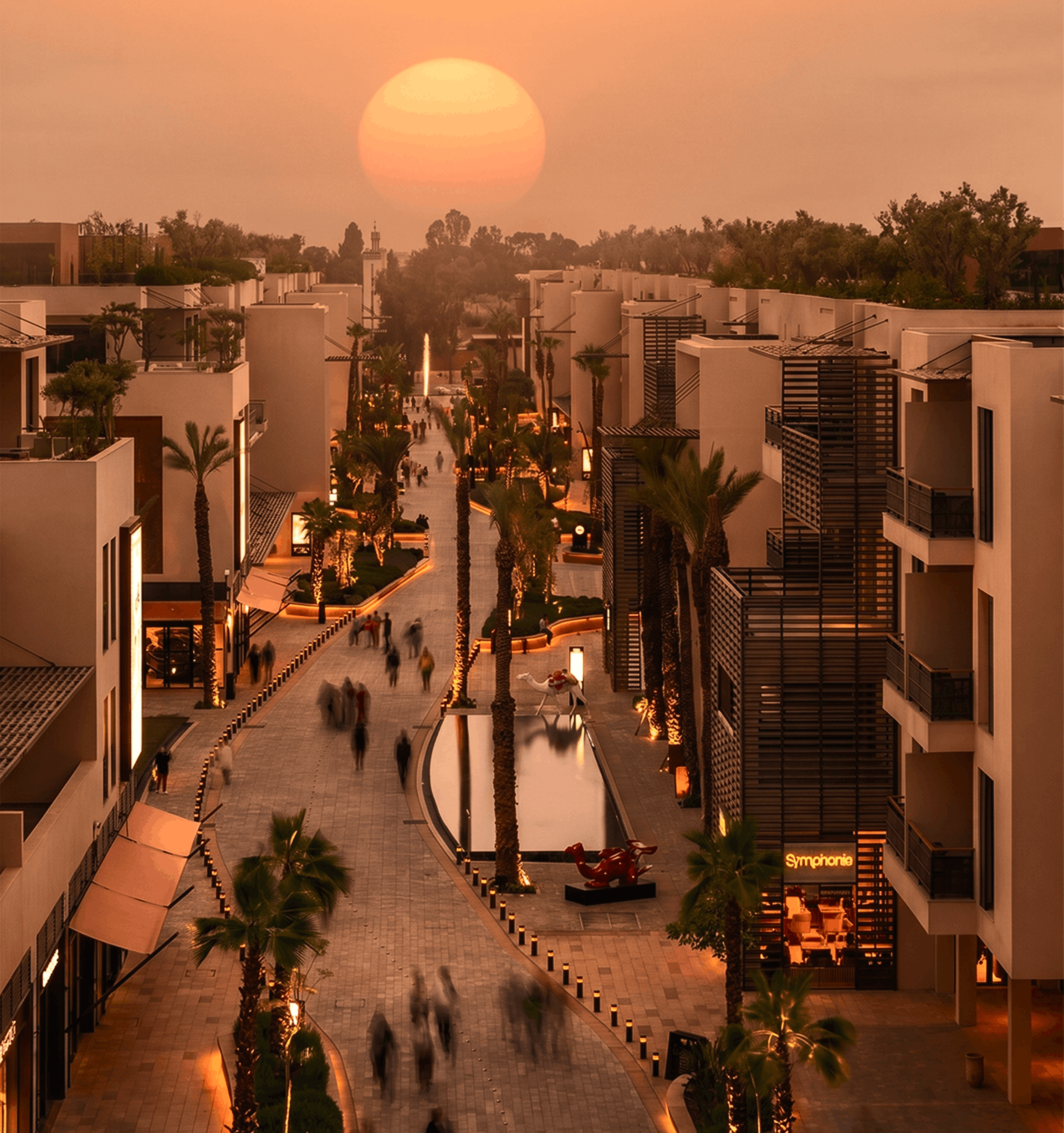 Sunset avenue in Marrakech