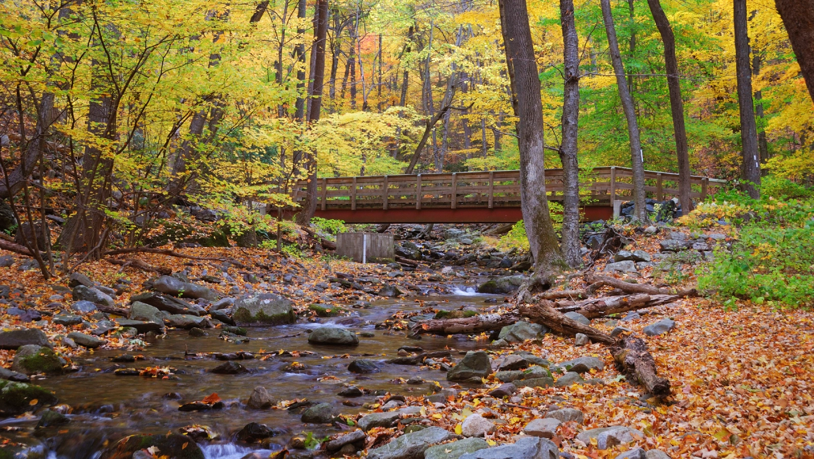 Rockefeller State Park Preserve in Sleepy Hollow, New York