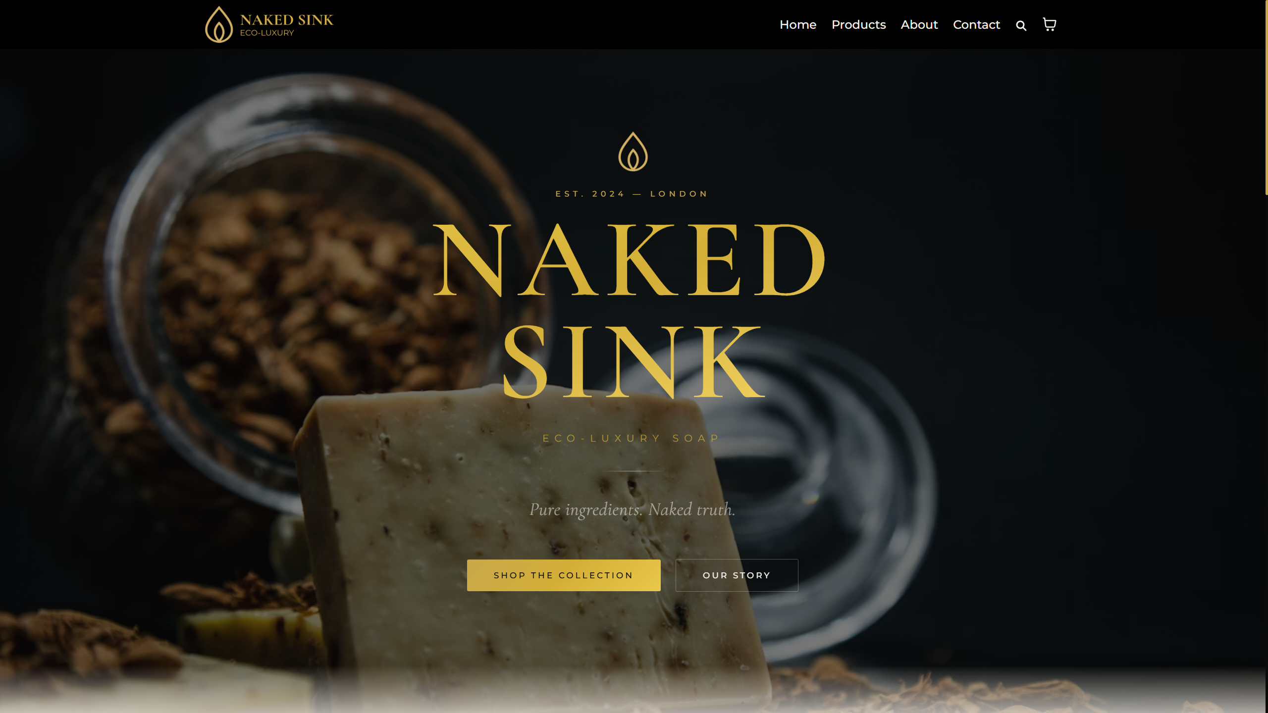 Naked Sink Website Screenshot