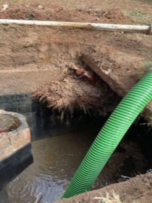 {{ custom_values.service_4 }} in {{custom_values.area_3})