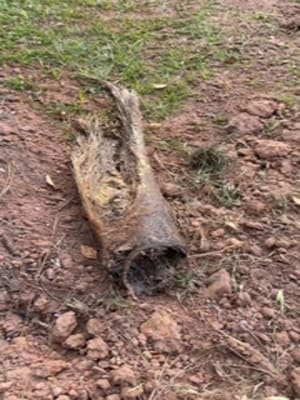 {{ custom_values.service_2 }} in {{custom_values.area_2})