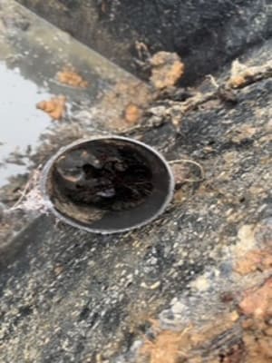 {{ custom_values.service_2 }} in {{custom_values.area_2})