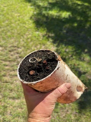 {{ custom_values.service_2 }} in {{custom_values.area_2})