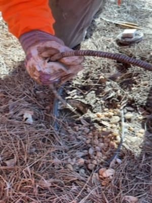 {{ custom_values.service_3 }} in {{custom_values.area_3})