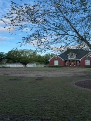 {{ custom_values.service_3 }} in {{custom_values.area_3})