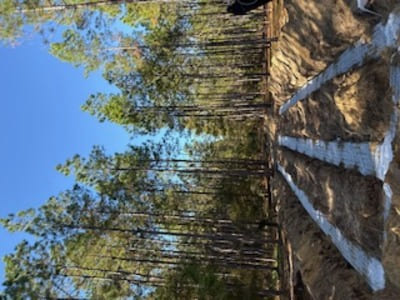 {{ custom_values.service_3 }} in {{custom_values.area_3})