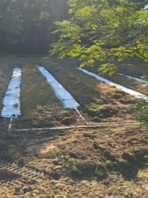 {{ custom_values.service_3 }} in {{custom_values.area_3})