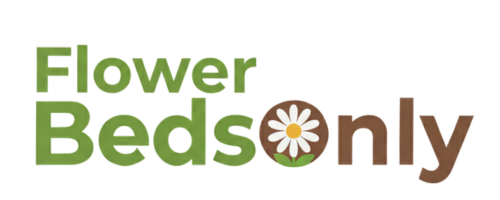 Eco Lawn of Daytona Logo