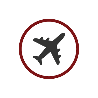 Flight Training Icon