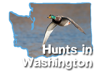 Washington Waterfowl Hunting
