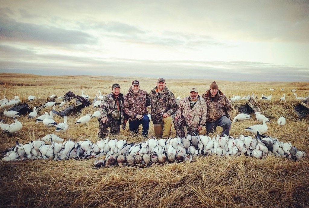 Snow Goose Hunting