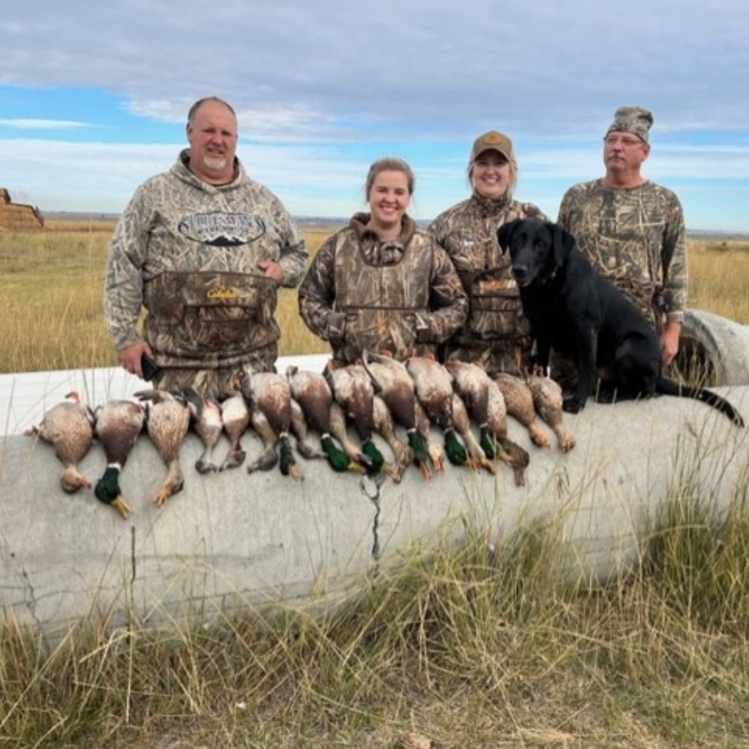 Snow Goose Hunting Saskatchewan