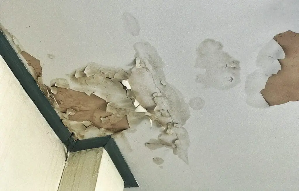 Rental wall and ceiling conditions