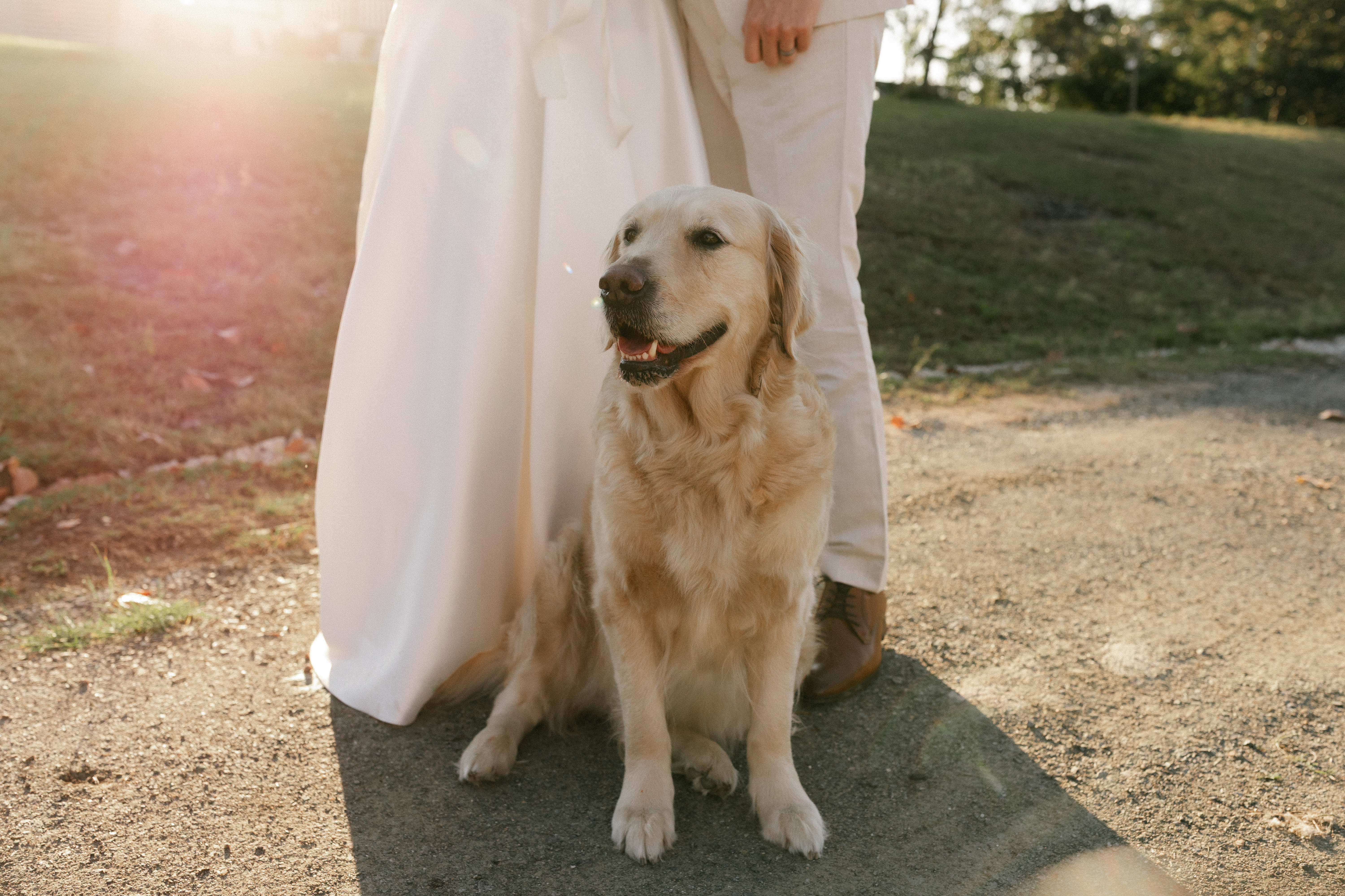 How to Include Your Dog in Your Wedding Day Without the Chaos