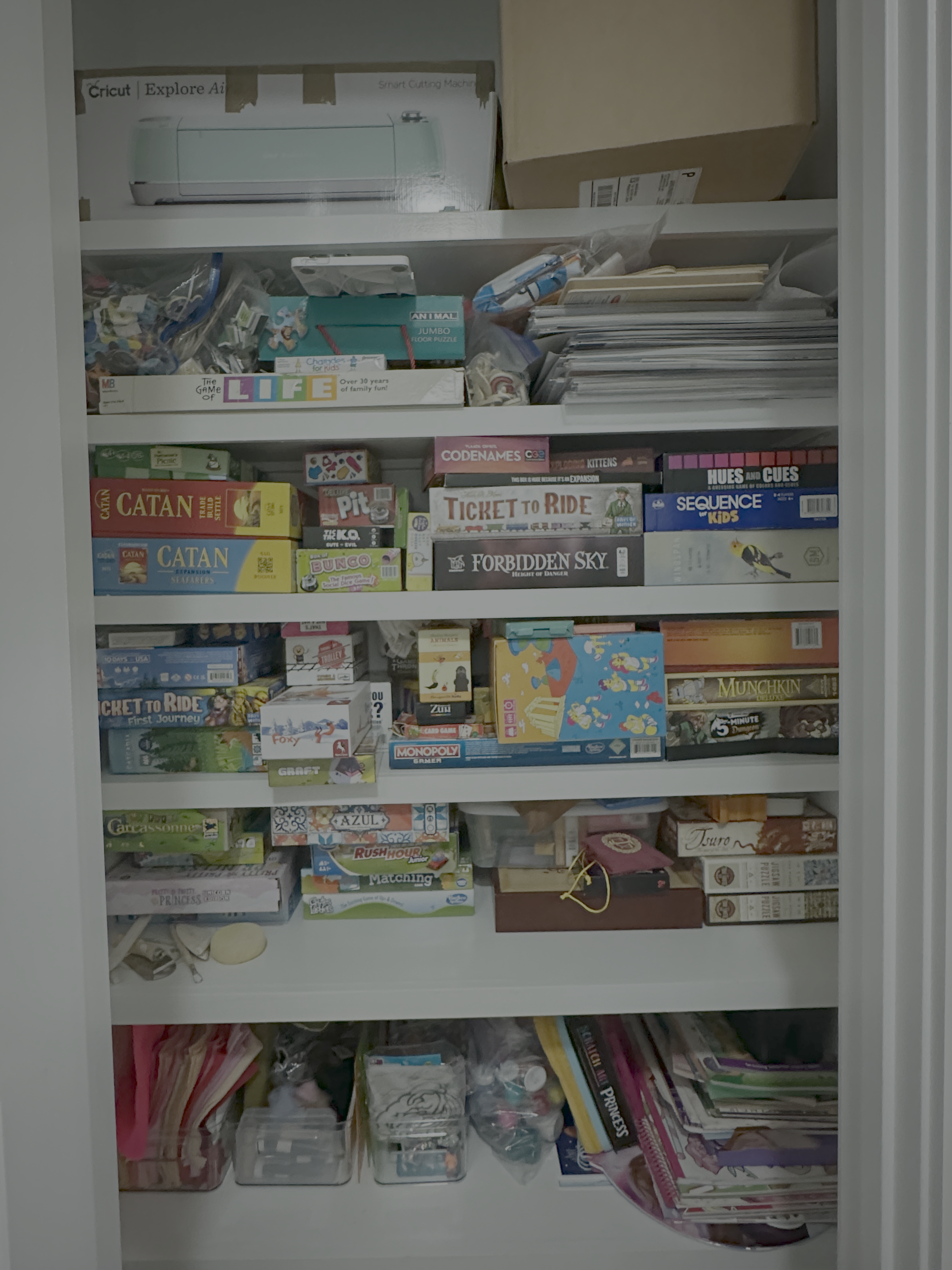 Game closet before organizing