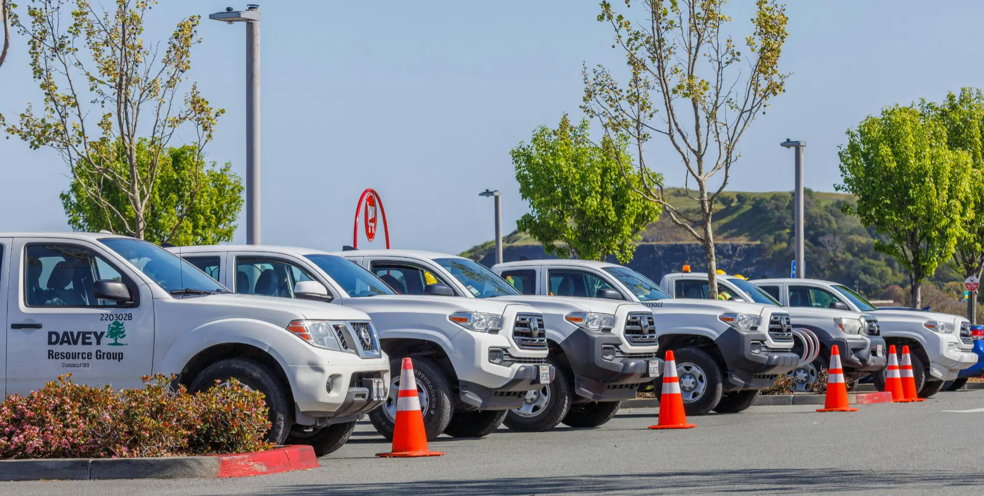A row of white commercial fleet pickup trucks parked in a lot with safety cones