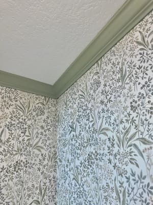 Cabinet Painting in Otsego