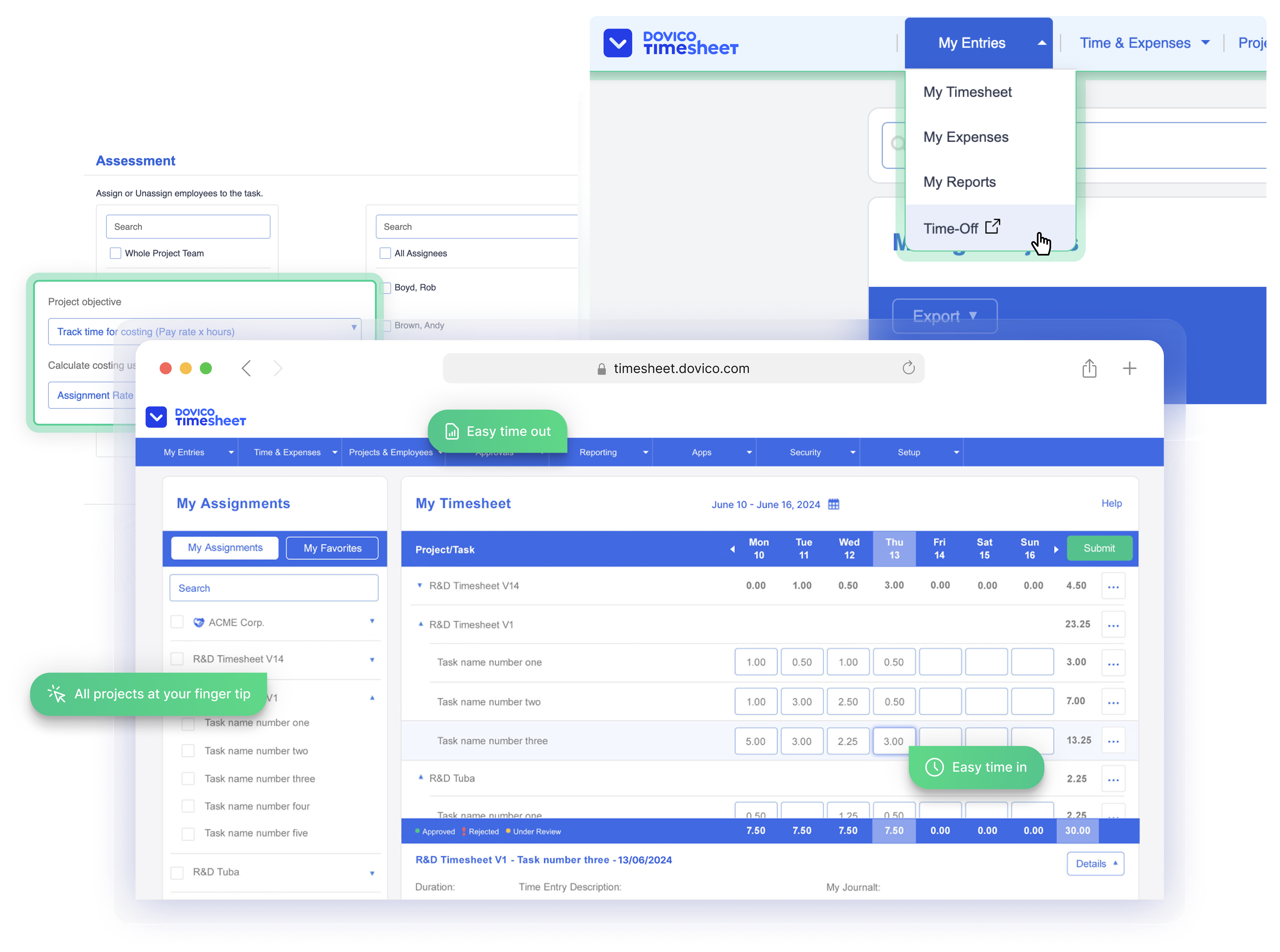 Dovico Timesheet interface