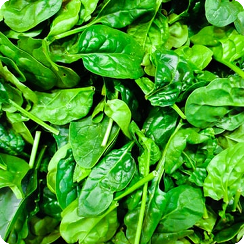 Spinach