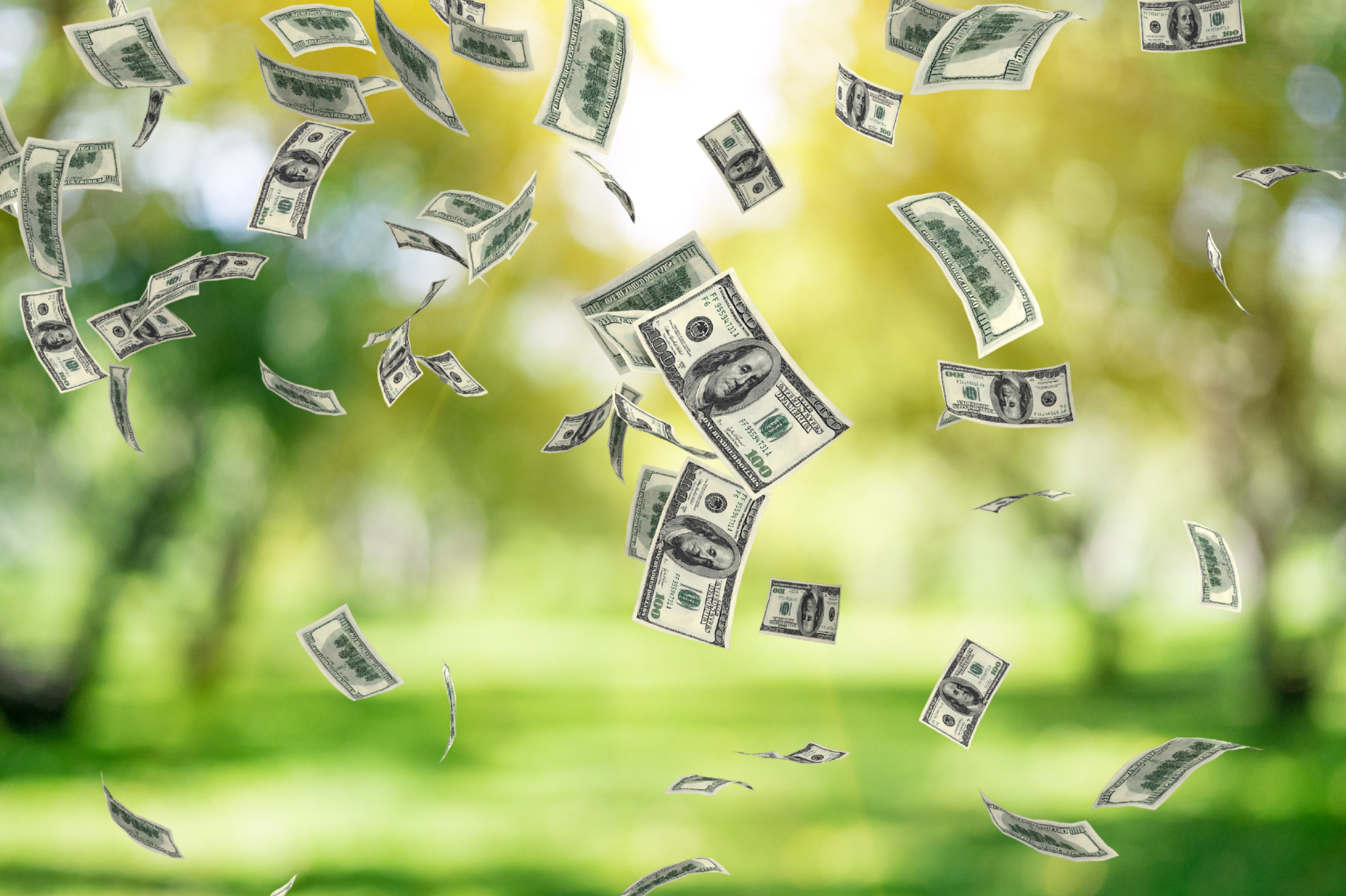 Landscaping Financing