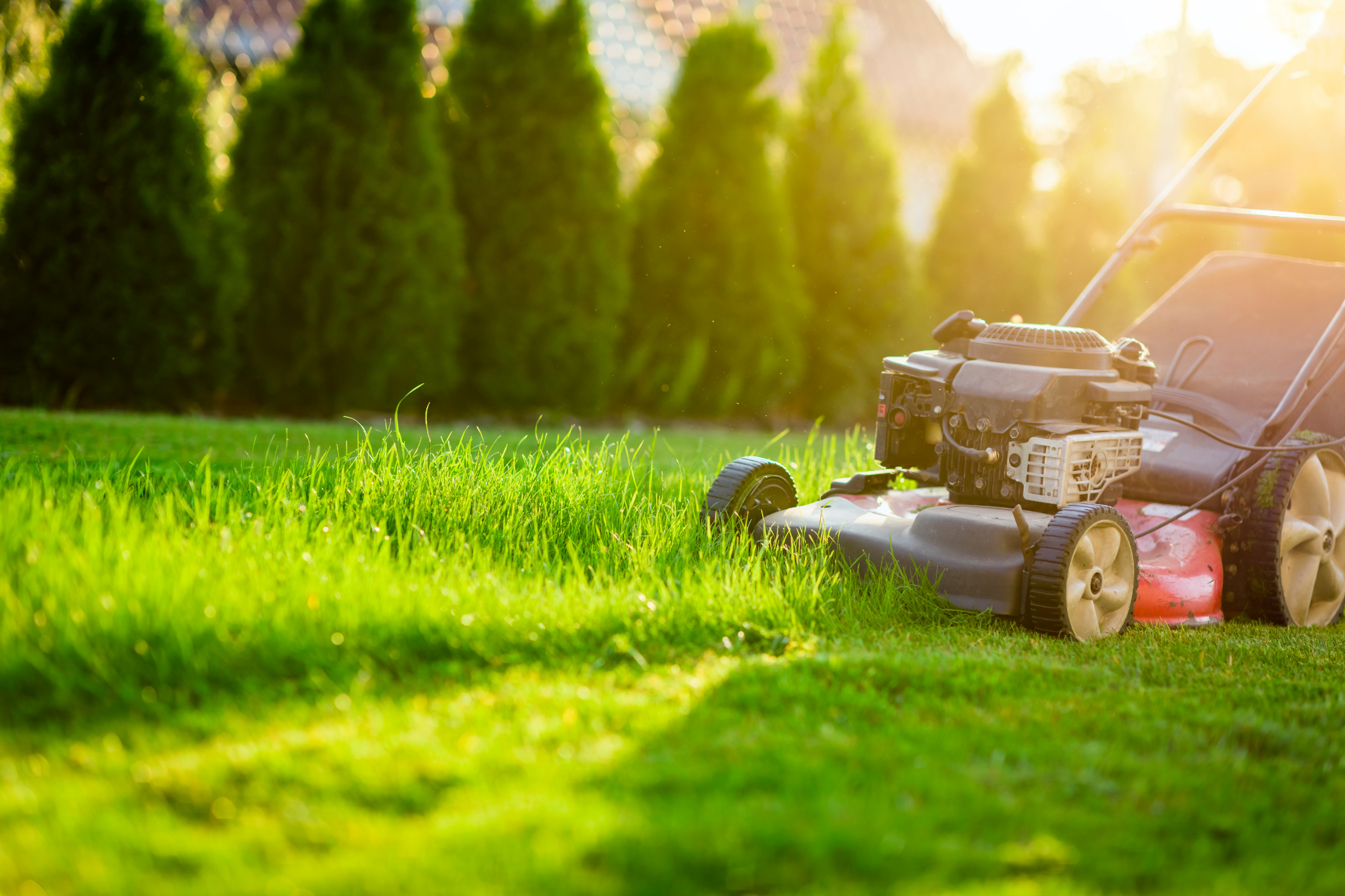 What’s the Environmental Impact of Lawn Care?