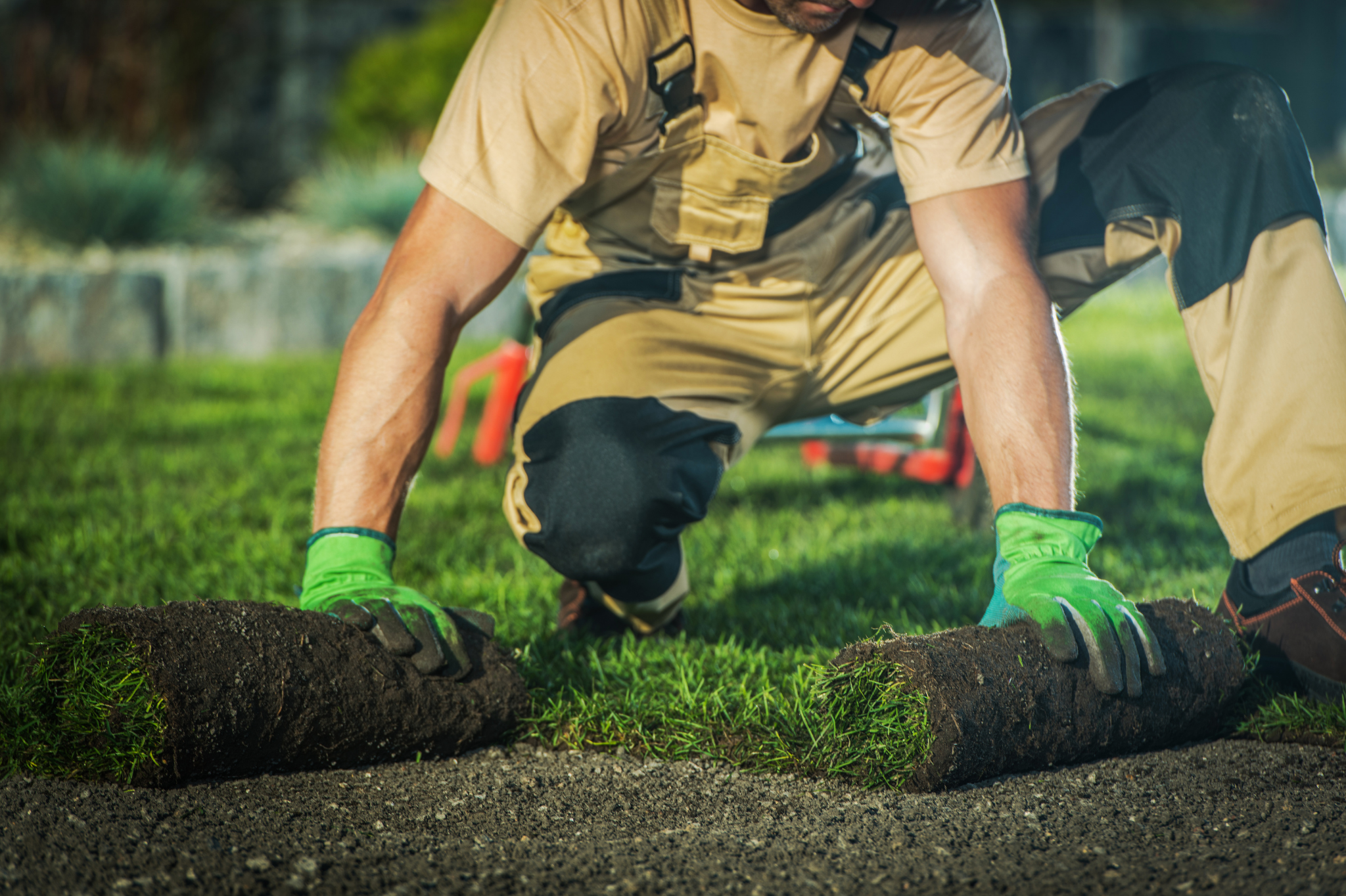 What’s the Environmental Impact of Lawn Care?