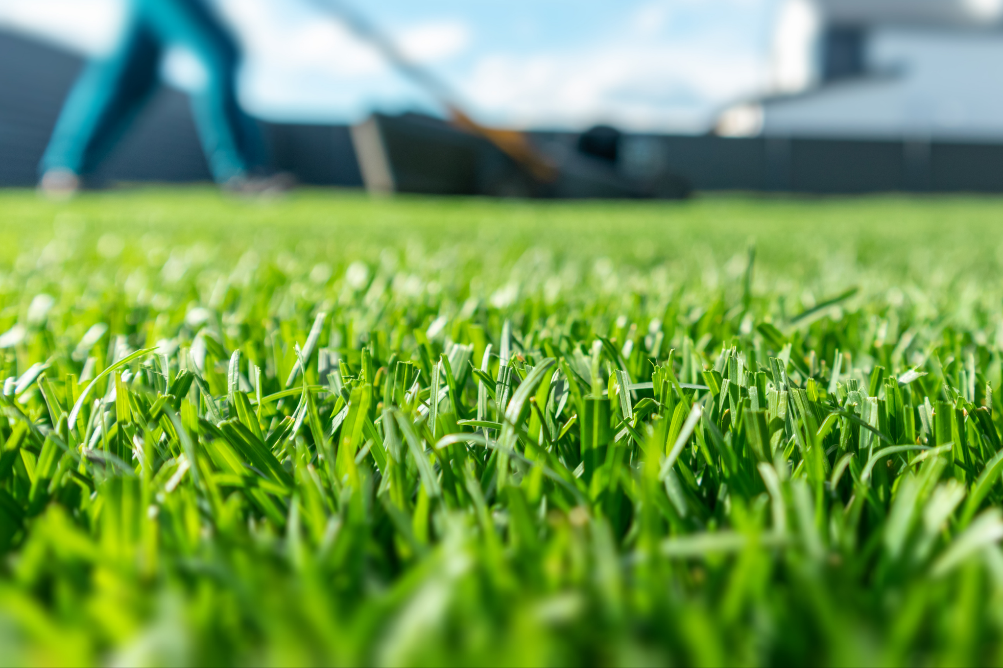 Does Landscaping Increase Home Value? Does Landscaping Increase Home Value?