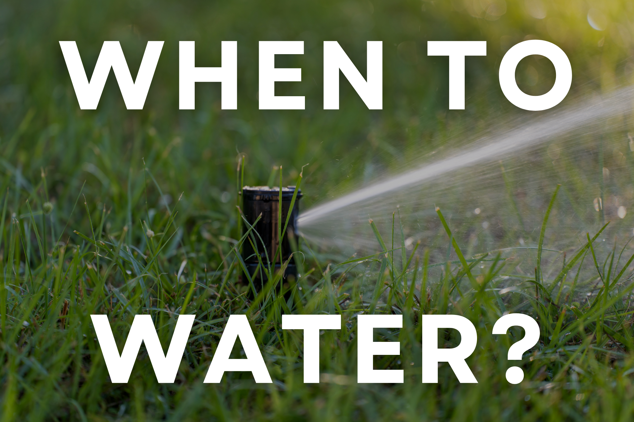 What’s the Best Way to Water My Lawn Efficiently? What’s the Best Way to Water My Lawn Efficiently?