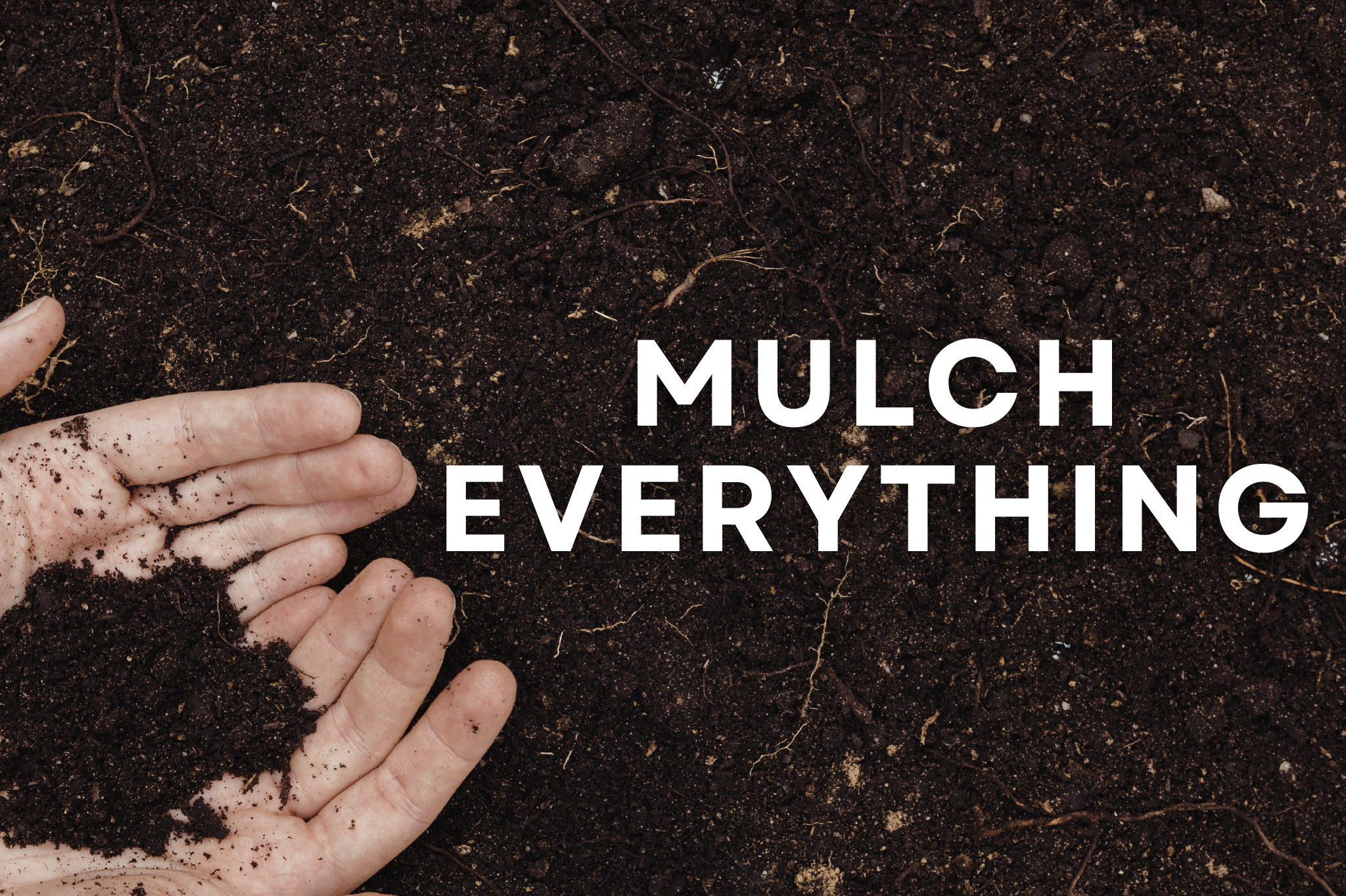 Summer Landscaping Tips