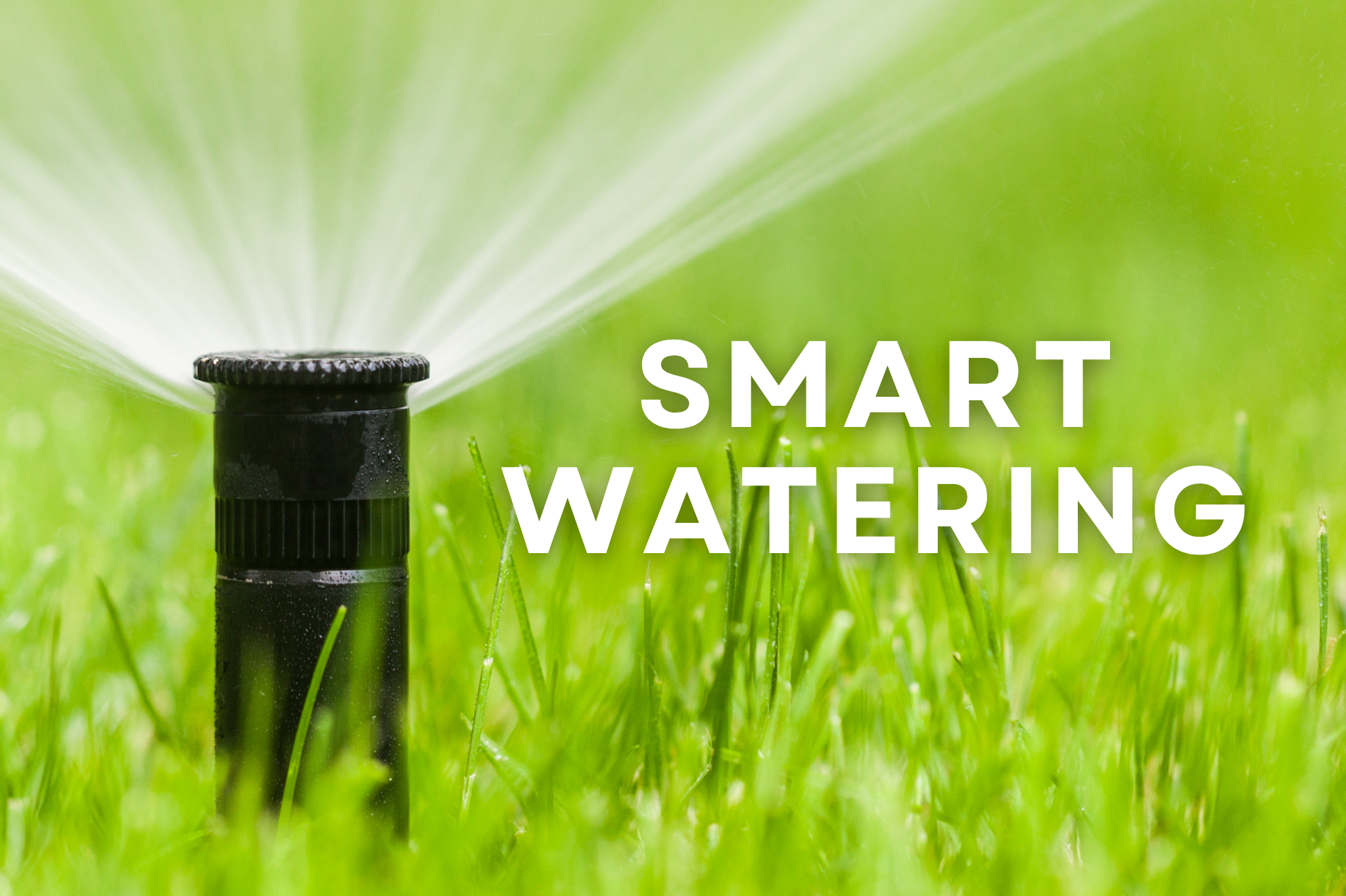 Summer Landscaping Tips