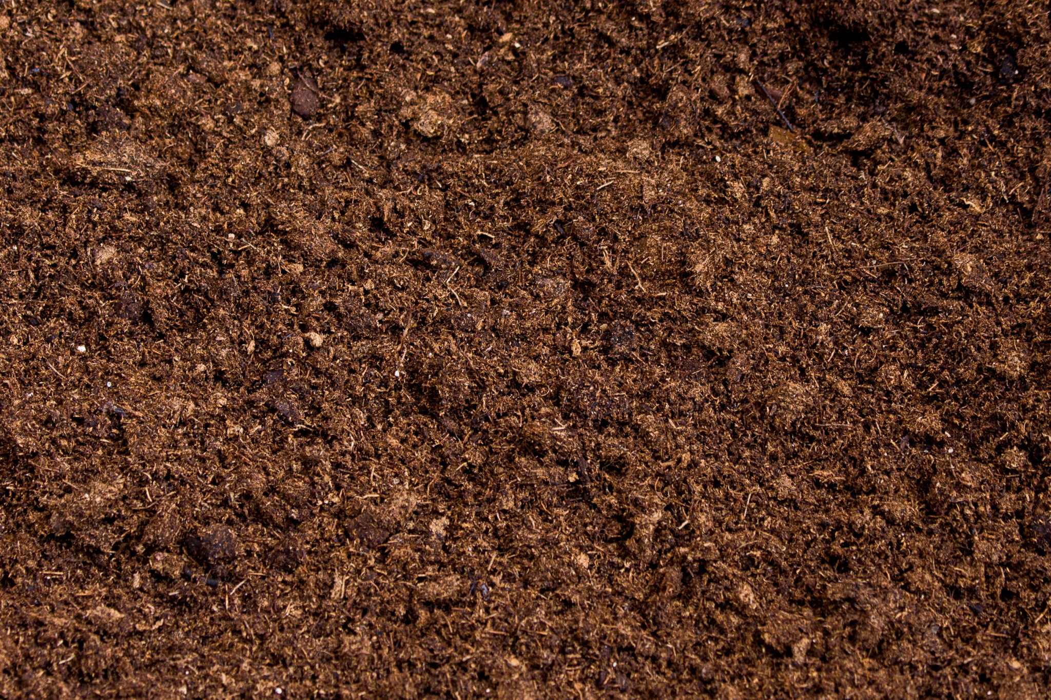 How Do I Know If My Soil Is Healthy?