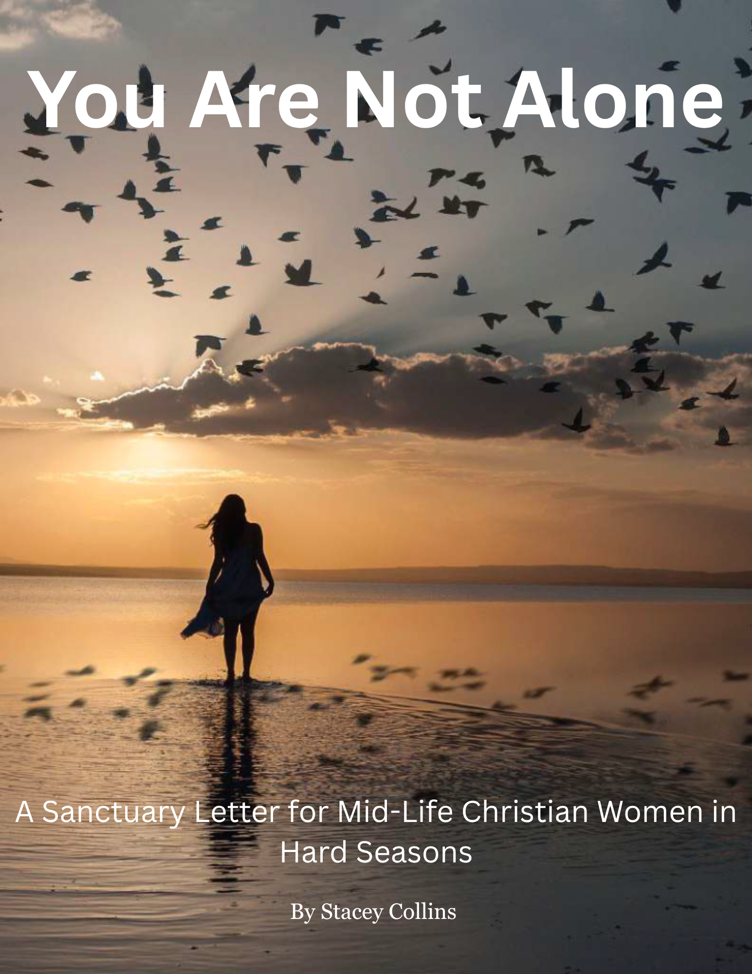 You Are Not Alone — A Free Sanctuary Letter