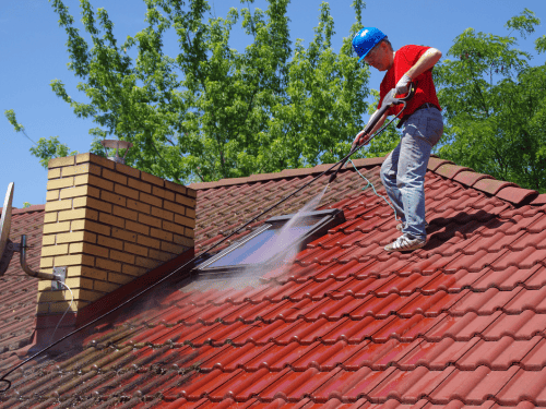 Roof Soft Washing & Algae Removal in Cherry Hill