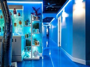 {{ custom_values.service_3 }} in {{custom_values.area_7})