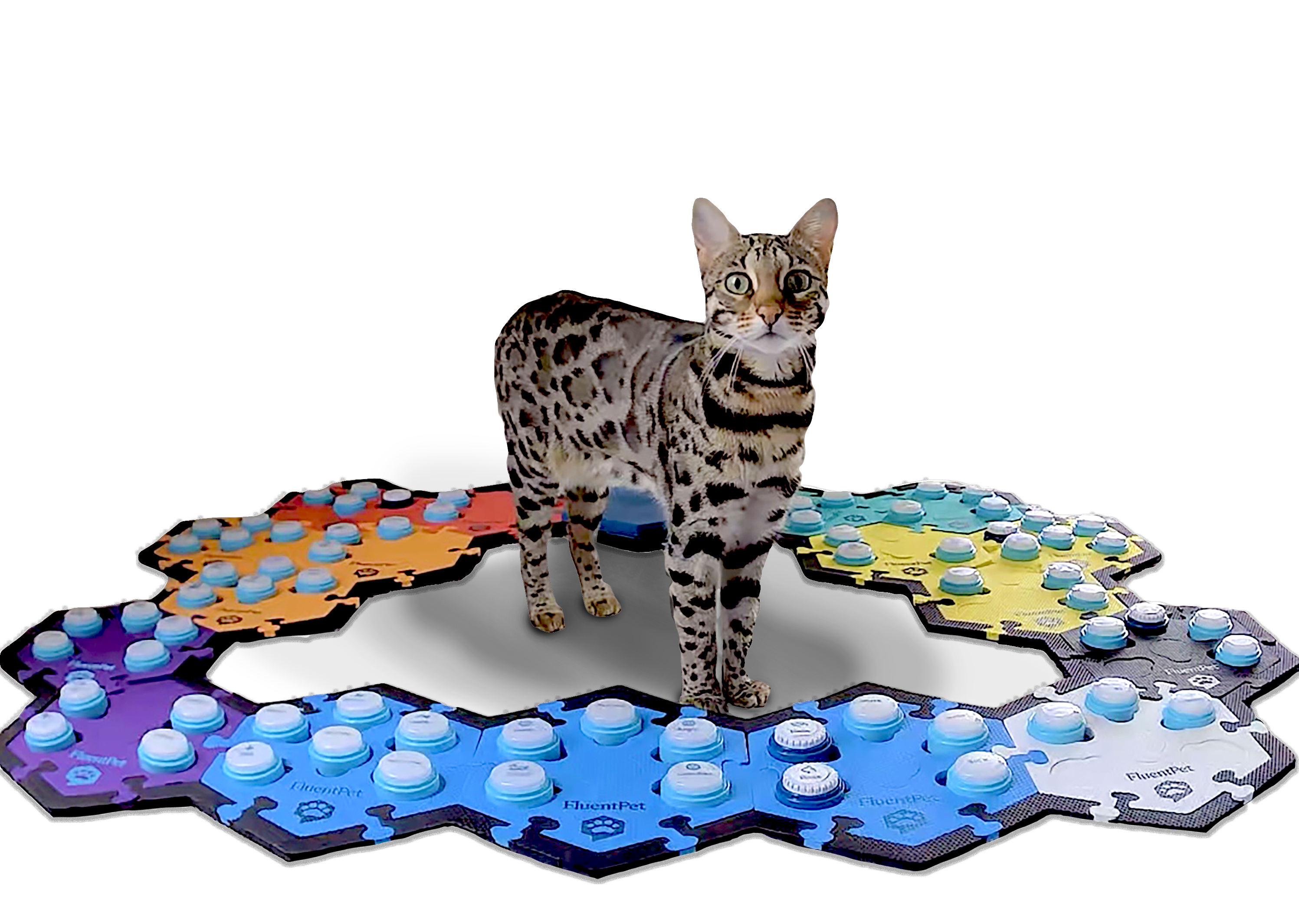 cat standing near AIC talking buttons