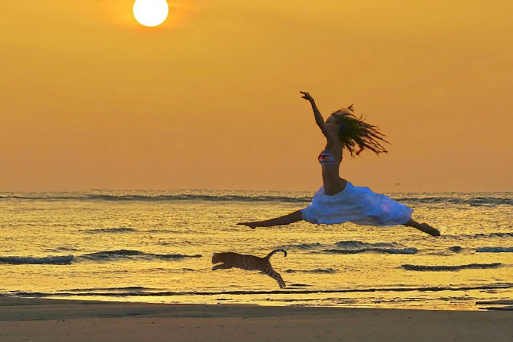 girl and cat jump on the beach at sunrise 