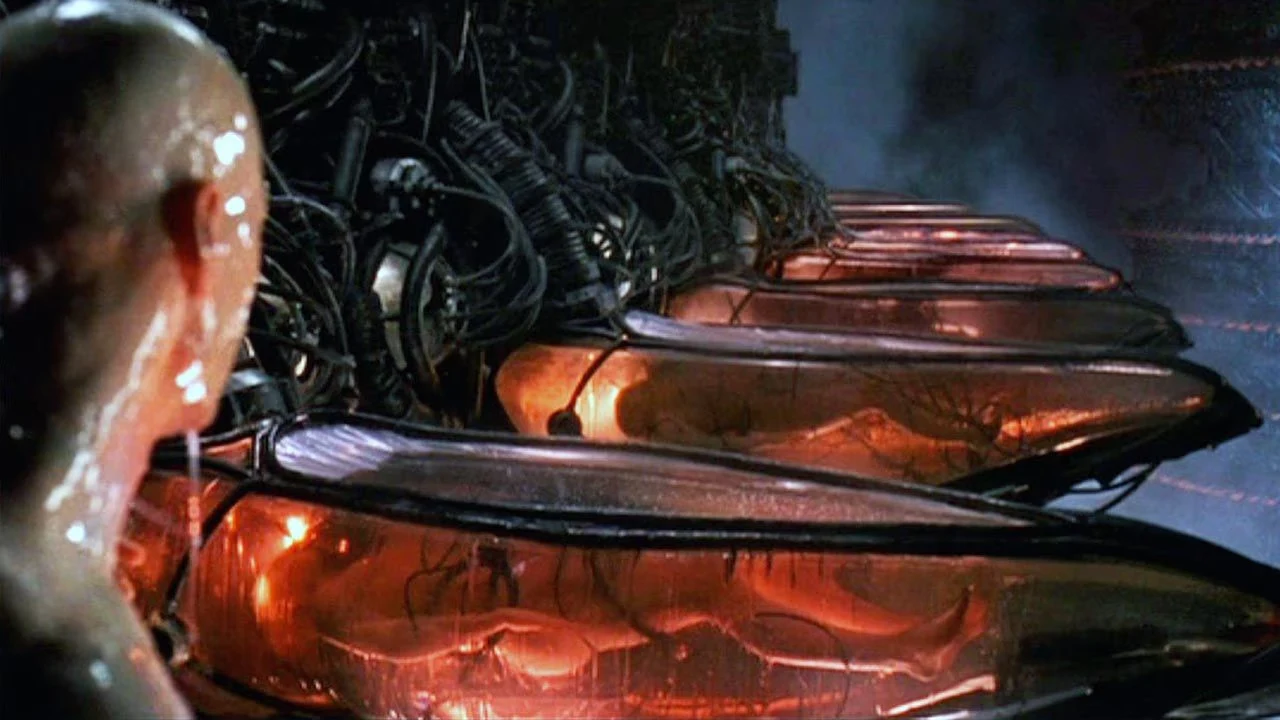 Humans used as batteries in The Matrix