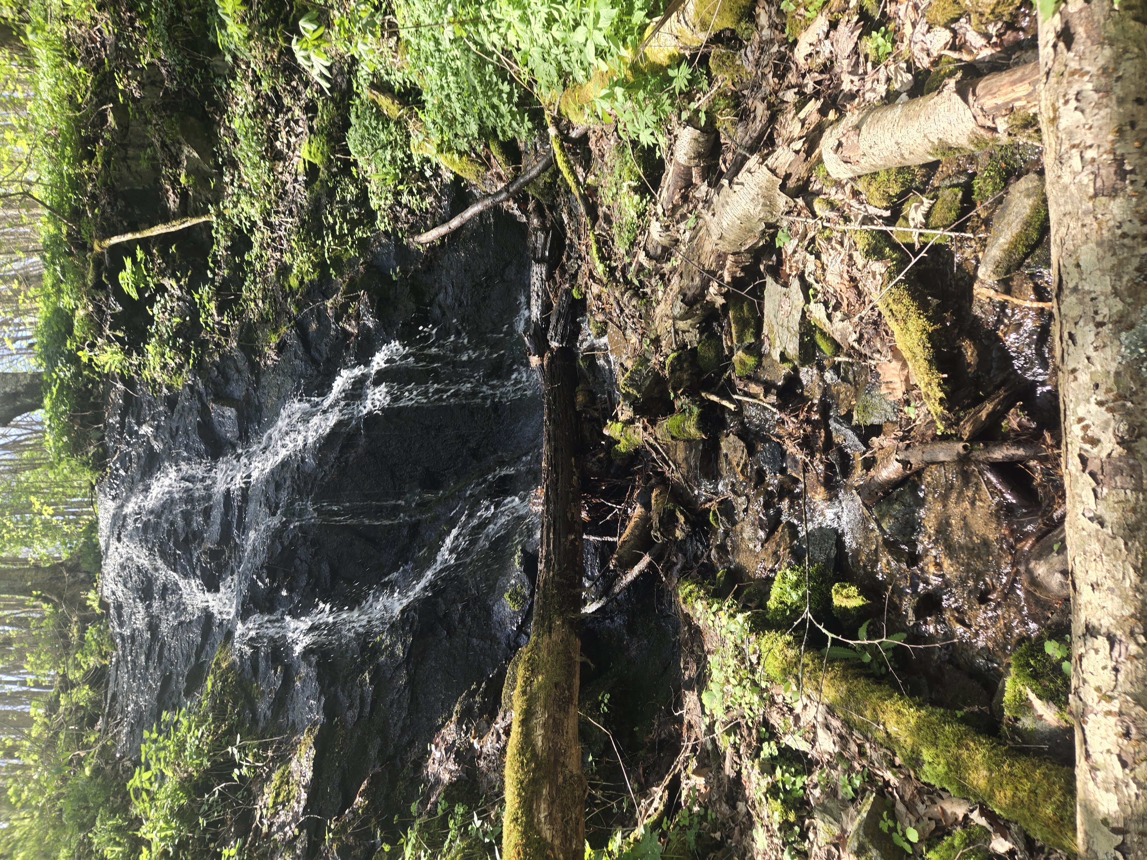 waterfall
