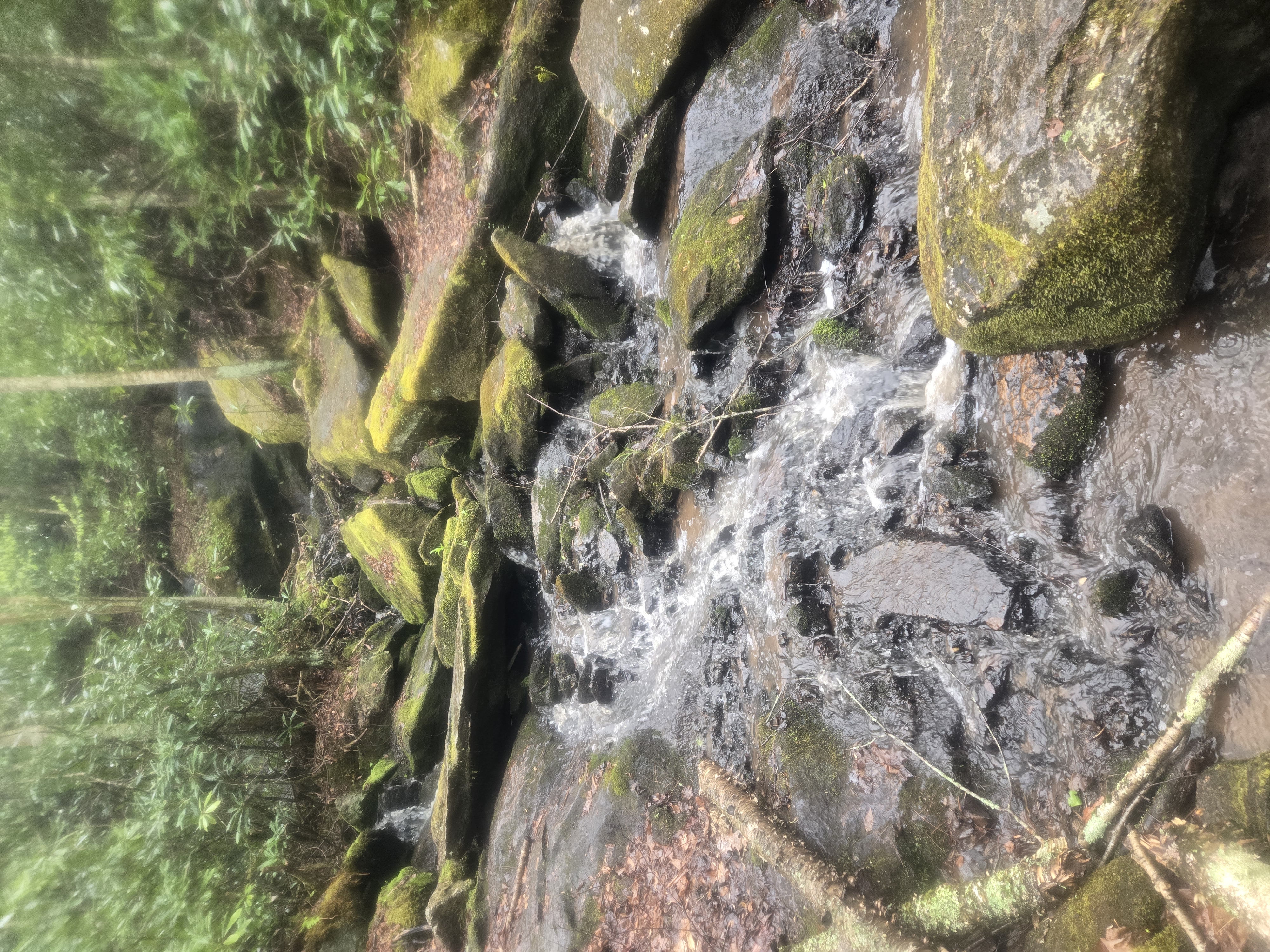 Creek views
