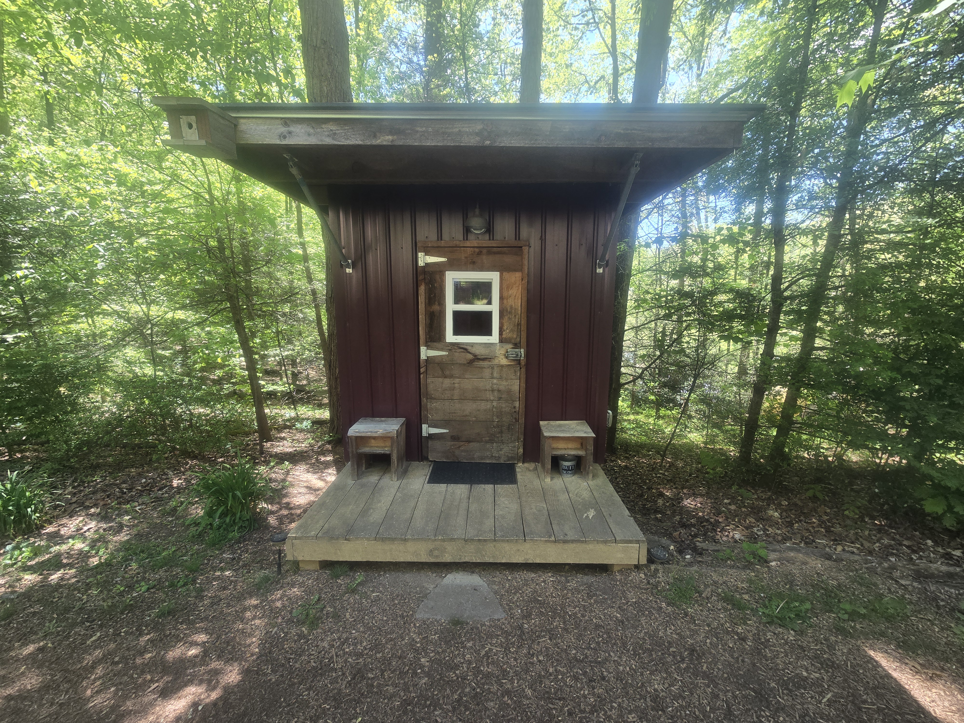 Cabin in the woods