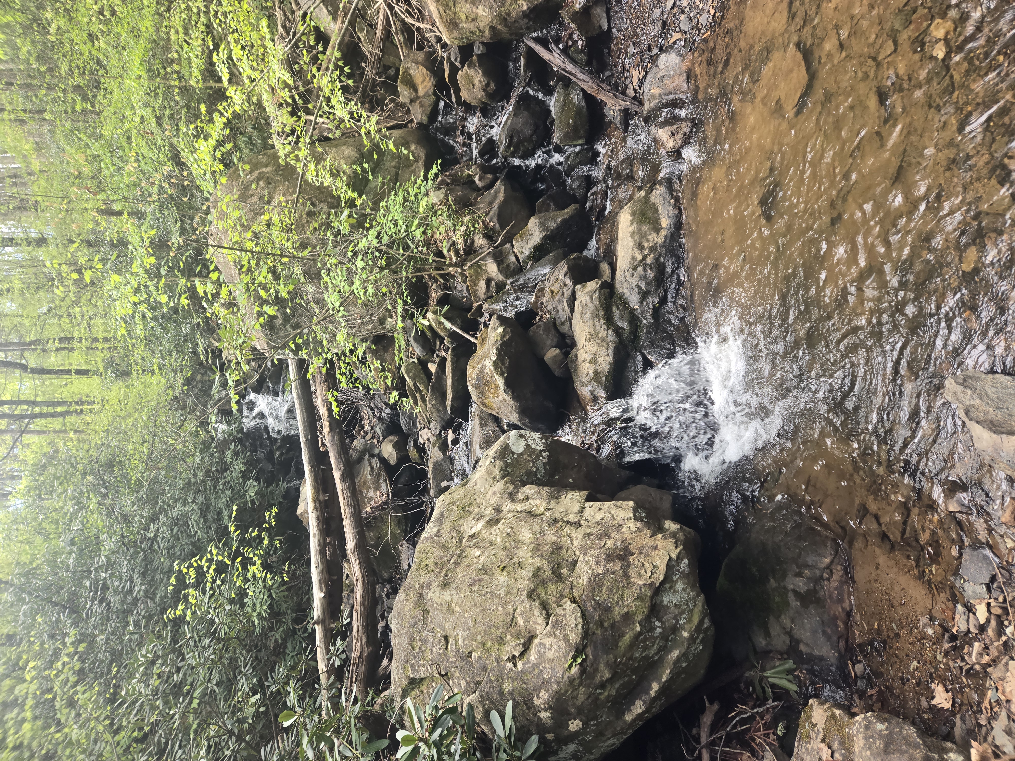 water sights