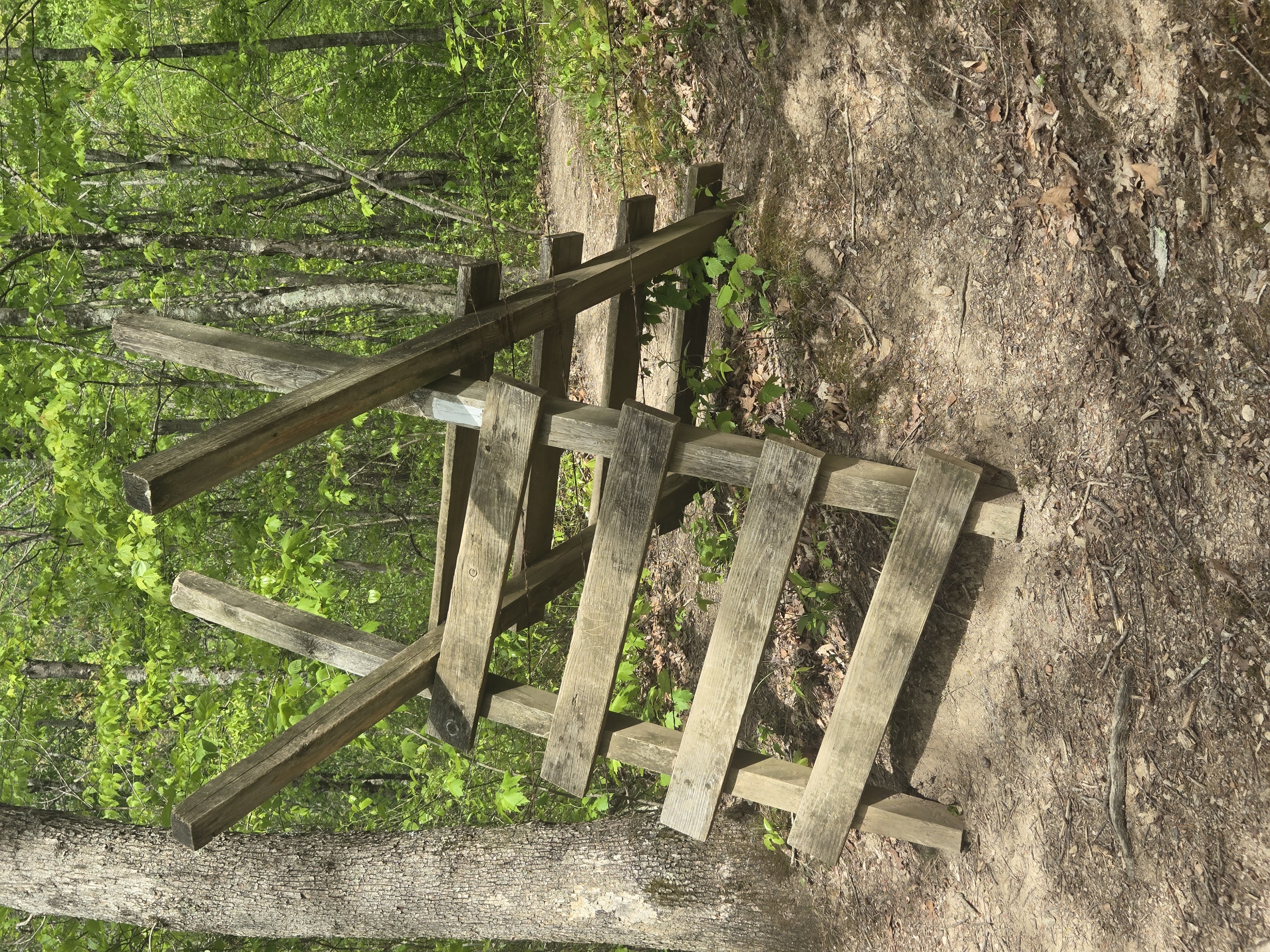 A Frame on a Trail