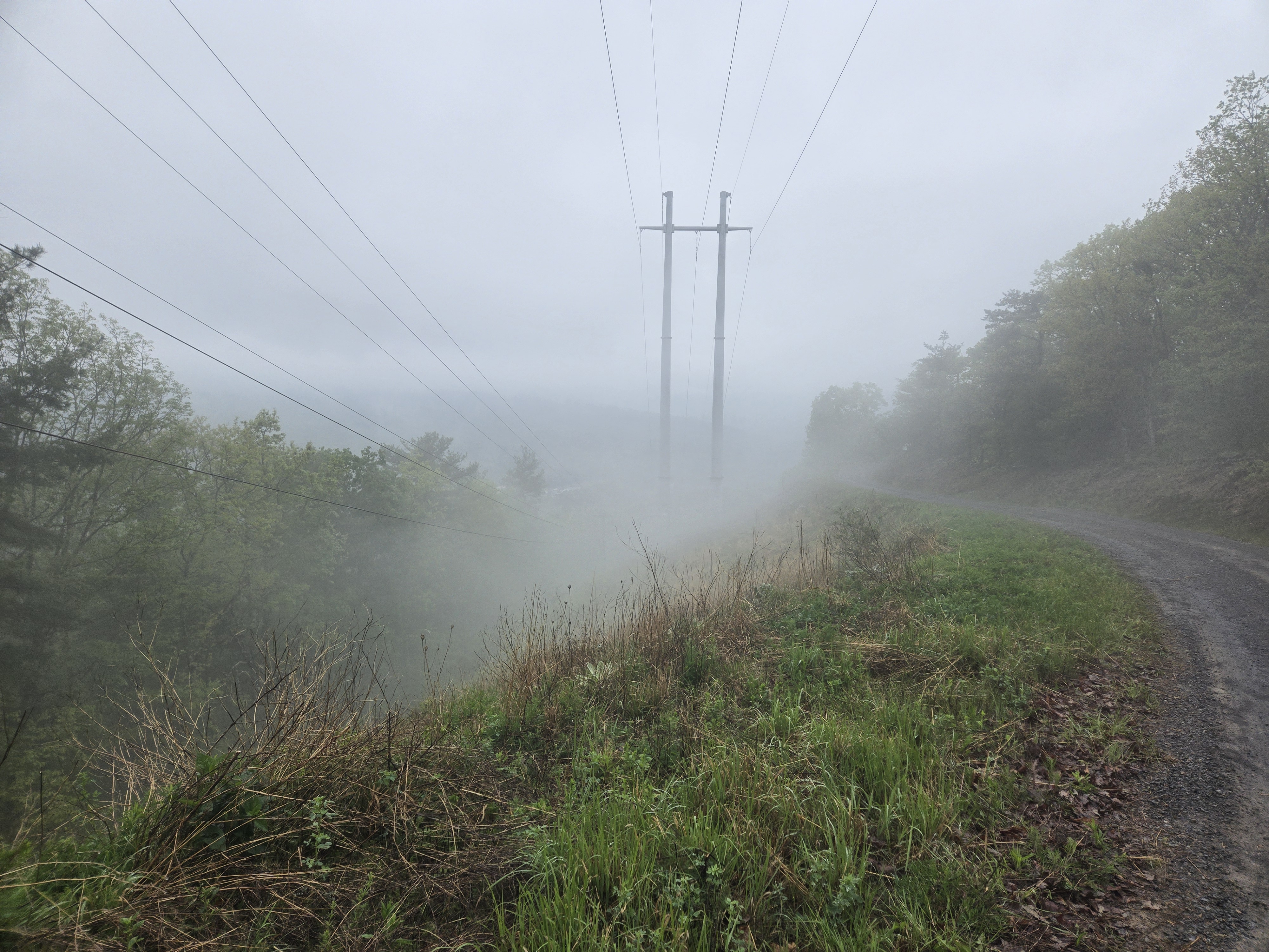 Fog in the distance