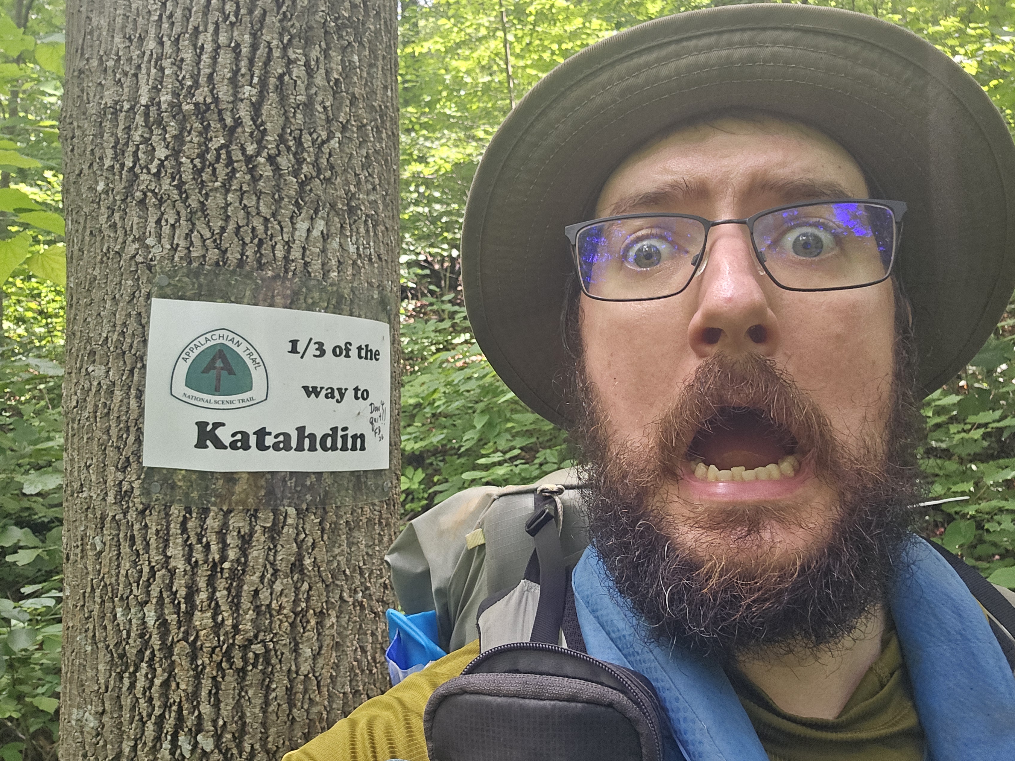 on the trail on the trail