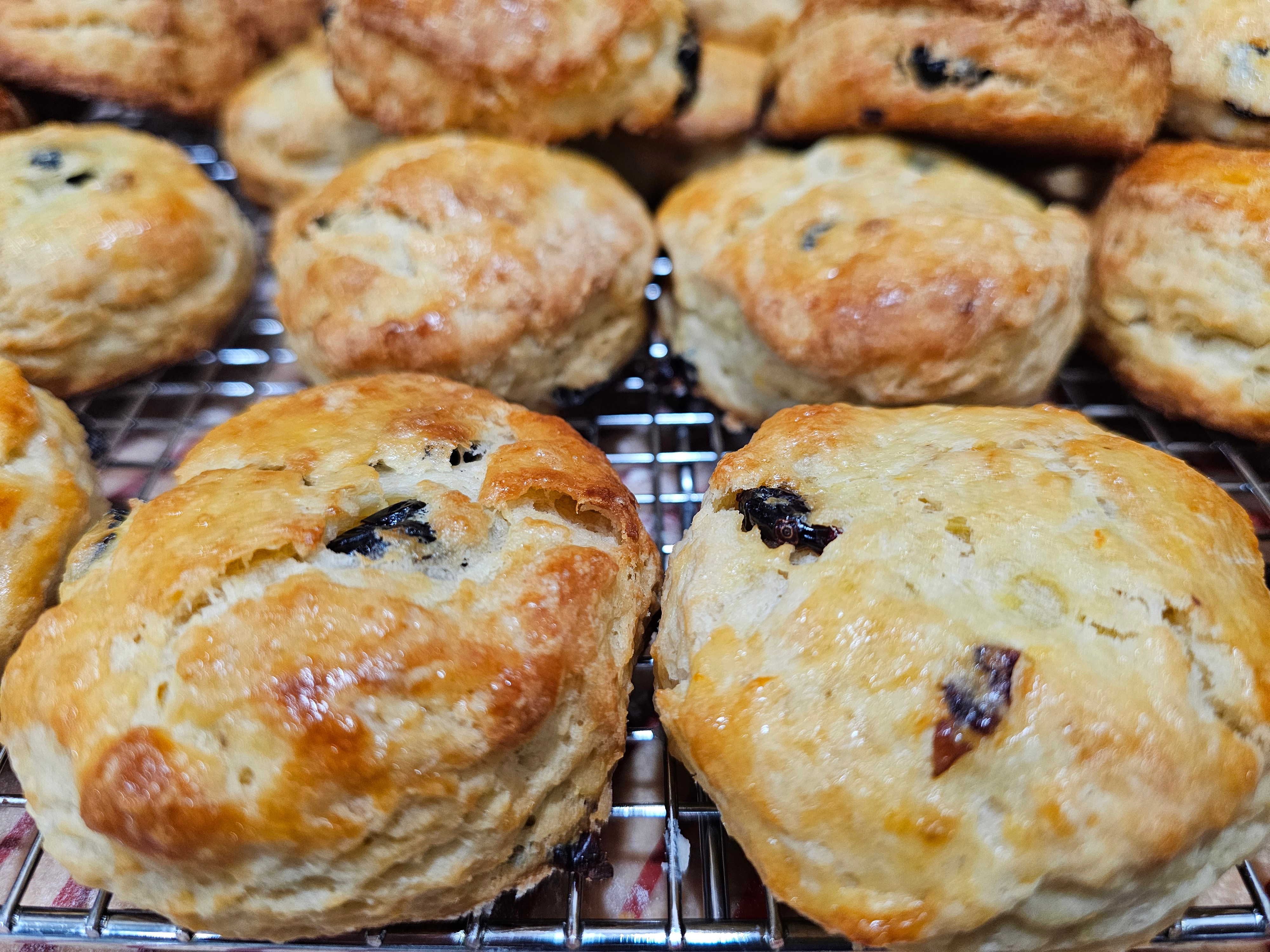 Fresh baked scones