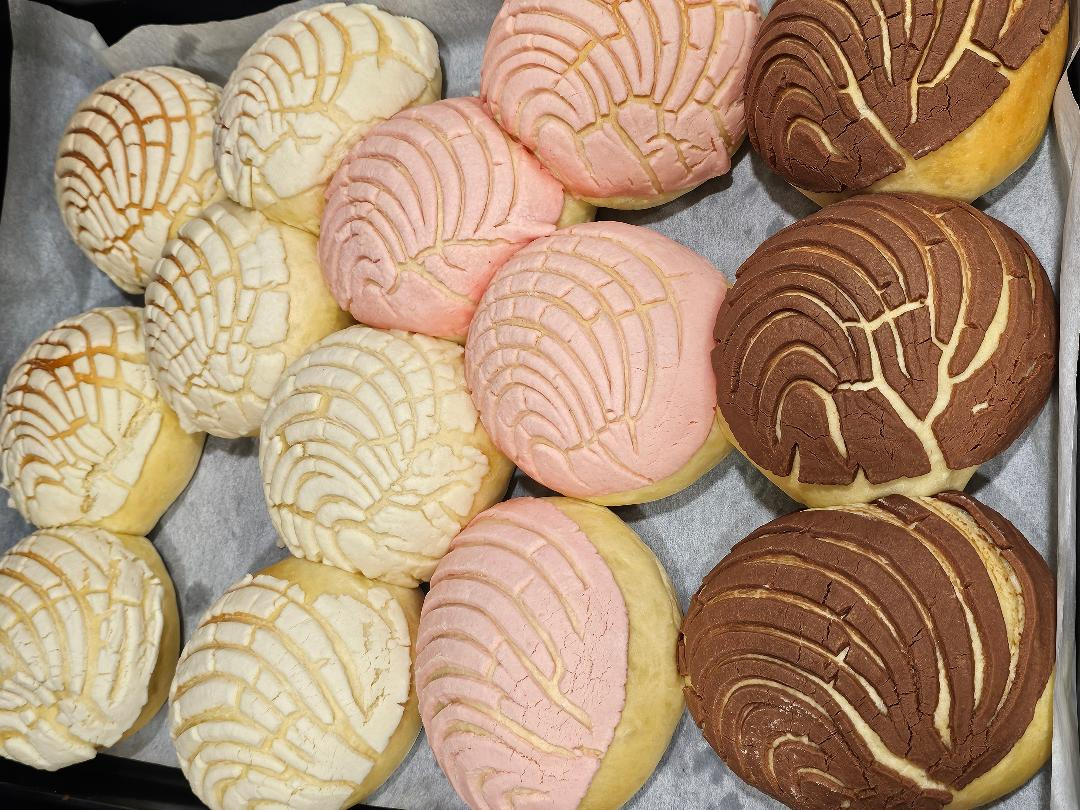Traditional Mexican conchas sweet bread