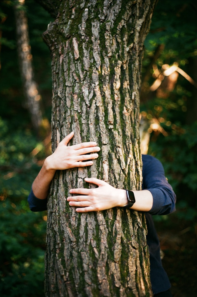 Hugging a Tree - Forest Bathing Practices