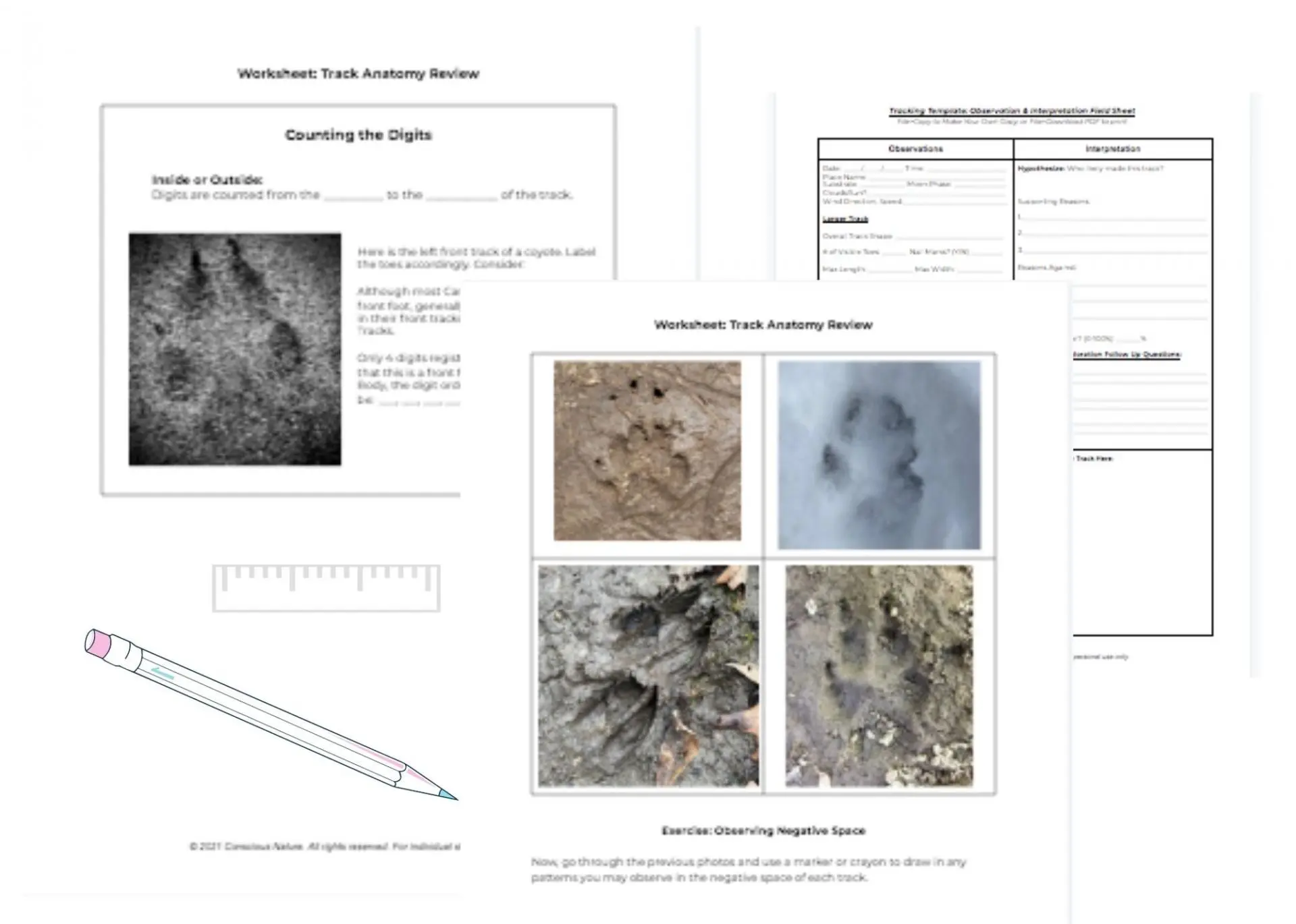 Courses and guidebooks