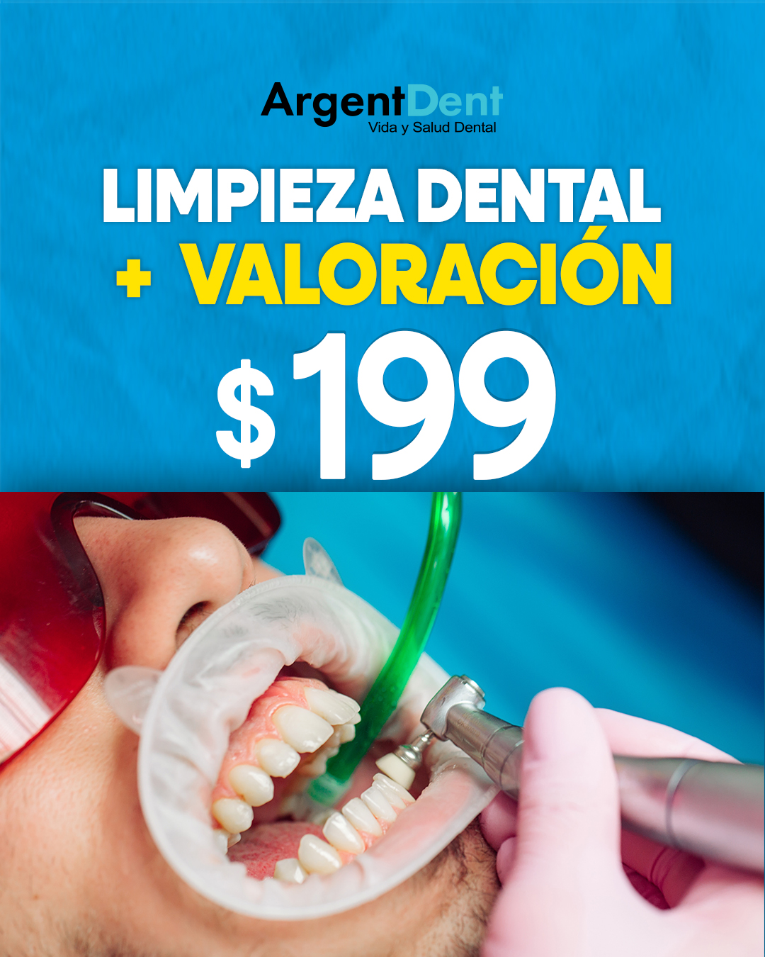 Descripción de la promoción