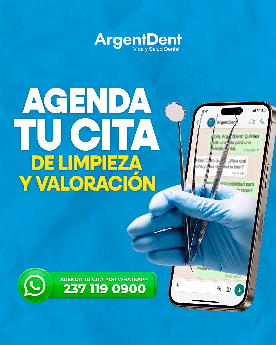 Descripción de la promoción